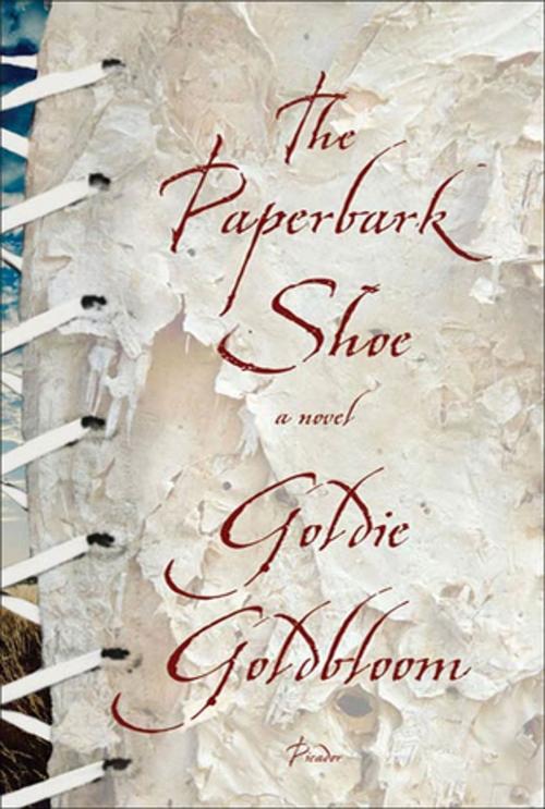 Cover of the book The Paperbark Shoe by Goldie Goldbloom, Picador