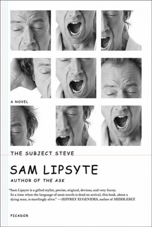 Cover of the book The Subject Steve by Sam Lipsyte, Picador
