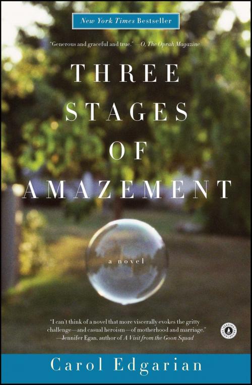 Cover of the book Three Stages of Amazement by Carol Edgarian, Scribner