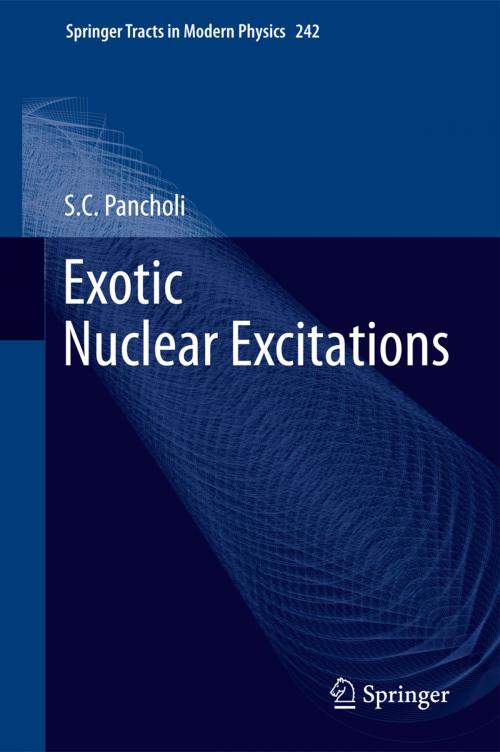 Cover of the book Exotic Nuclear Excitations by S.C. Pancholi, Springer New York
