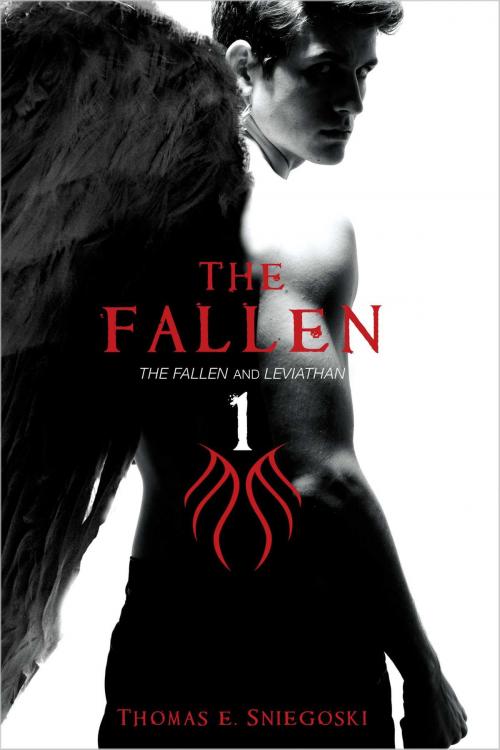 Cover of the book The Fallen 1 by Thomas E. Sniegoski, Simon Pulse