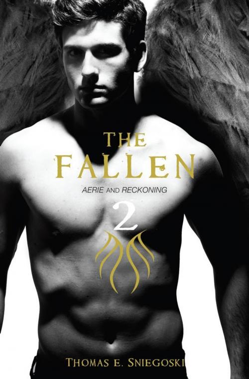 Cover of the book The Fallen 2 by Thomas E. Sniegoski, Simon Pulse