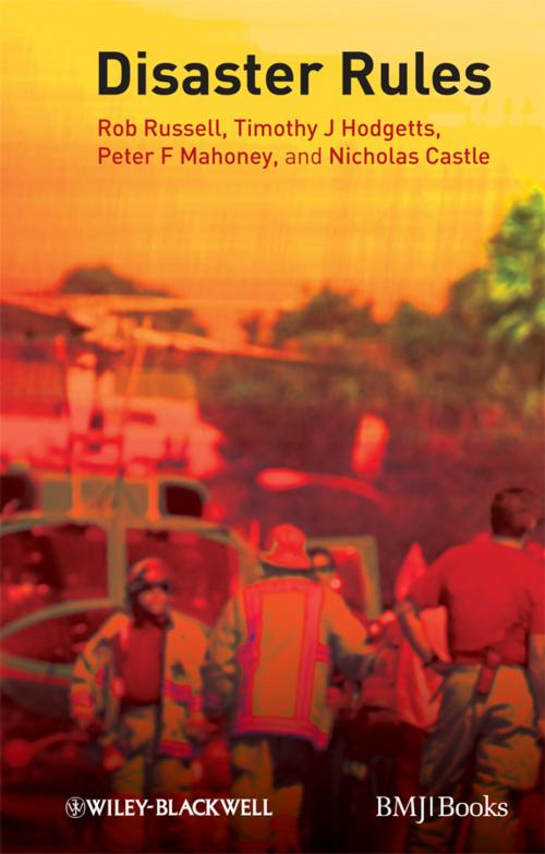 Cover of the book Disaster Rules by Rob Russell, Timothy J. Hodgetts, Peter F. Mahoney, Nicholas Castle, Wiley