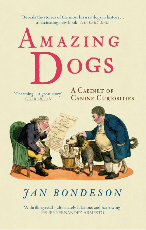 Cover of the book Amazing Dogs by Jan Bondeson, Amberley Publishing