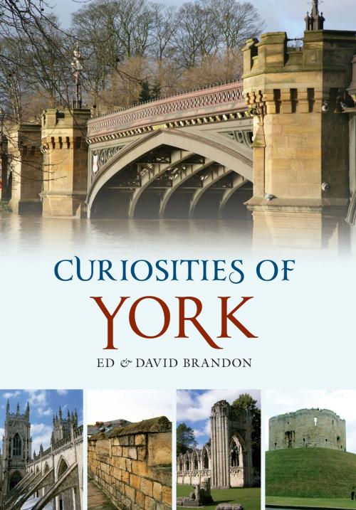 Cover of the book Curiosities of York by Ed Brandon, David Brandon, Amberley Publishing