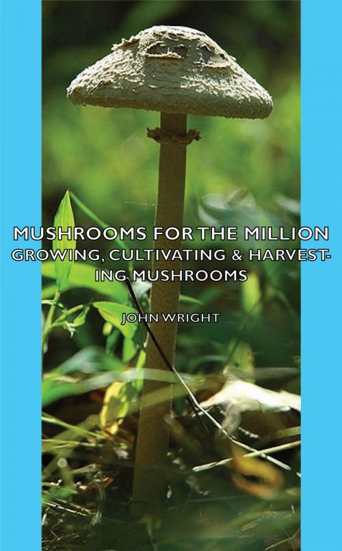 Cover of the book Mushrooms for the Million - Growing, Cultivating & Harvesting Mushrooms by John Wright, Read Books Ltd.