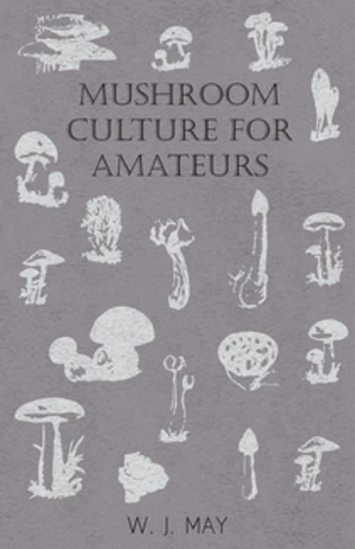 Cover of the book Mushroom Culture for Amateurs: With Full Descriptions for Successful Growth in Houses, Sheds, Cellars, and Pots, on Shelves, and Out of Doors by W. J. May, Read Books Ltd.