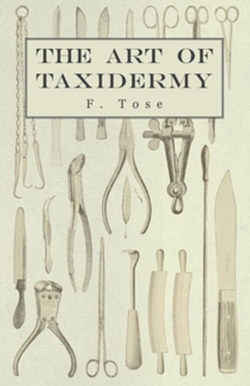 Cover of the book The Art of Taxidermy by F. Tose, Read Books Ltd.
