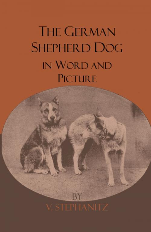 Cover of the book The German Shepherd Dog In Word And Picture by V. Stephanitz, Read Books Ltd.