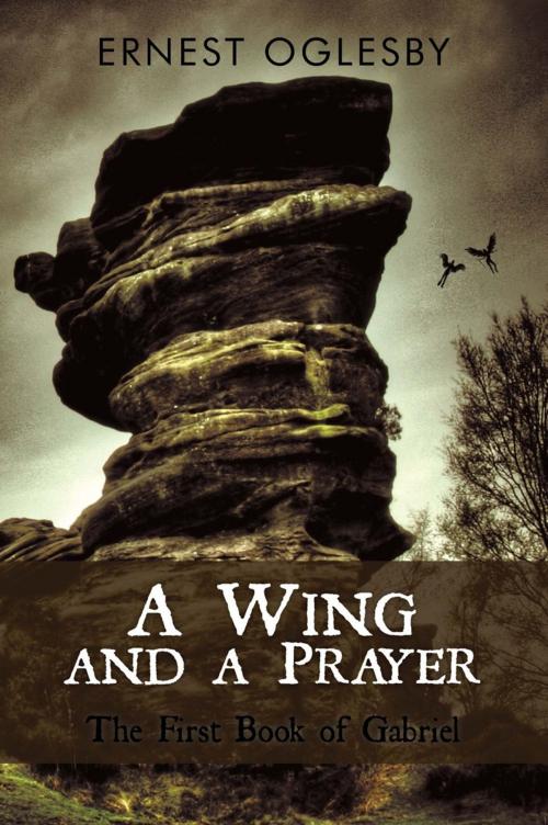 Cover of the book A Wing and a Prayer by Ernest Oglesby, iUniverse