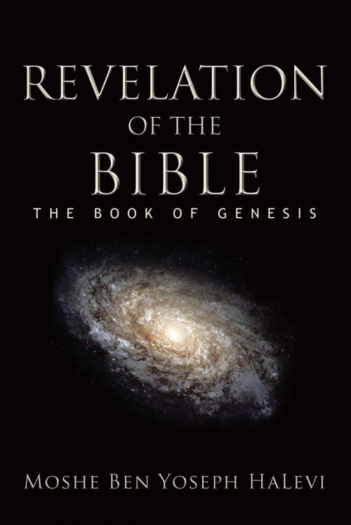 Cover of the book Revelation of the Bible by Moshe Mazin, iUniverse