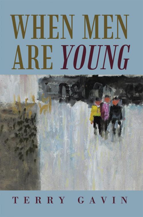 Cover of the book When Men Are Young by Terry Gavin, iUniverse