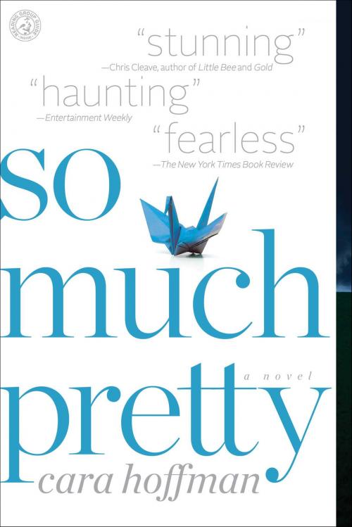Cover of the book So Much Pretty by Cara Hoffman, Simon & Schuster