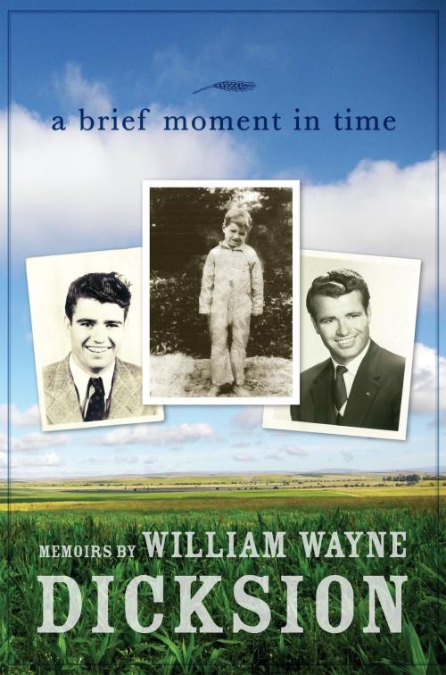 Cover of the book A Brief Moment in Time by William Wayne Dicksion, William Wayne Dicksion