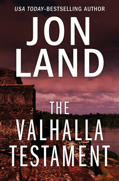 Cover of the book The Valhalla Testament by Jon Land, Open Road