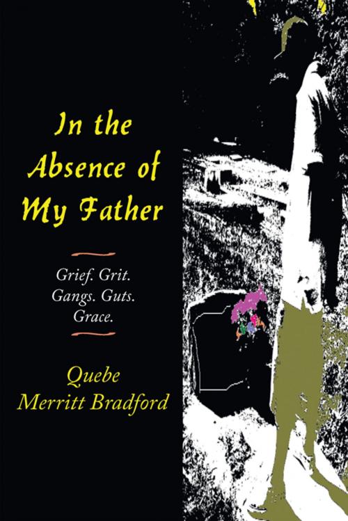 Cover of the book In the Absence of My Father by Quebe Merritt Bradford, AuthorHouse