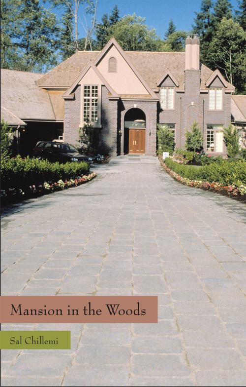 Cover of the book Mansion in the Woods by Sal Chillemi, AuthorHouse