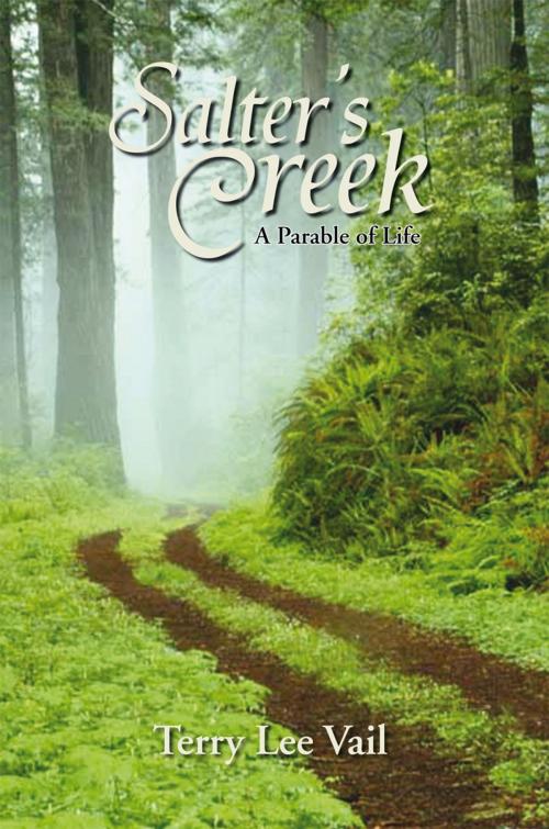 Cover of the book Salter's Creek by Terry Lee Vail, Xlibris US