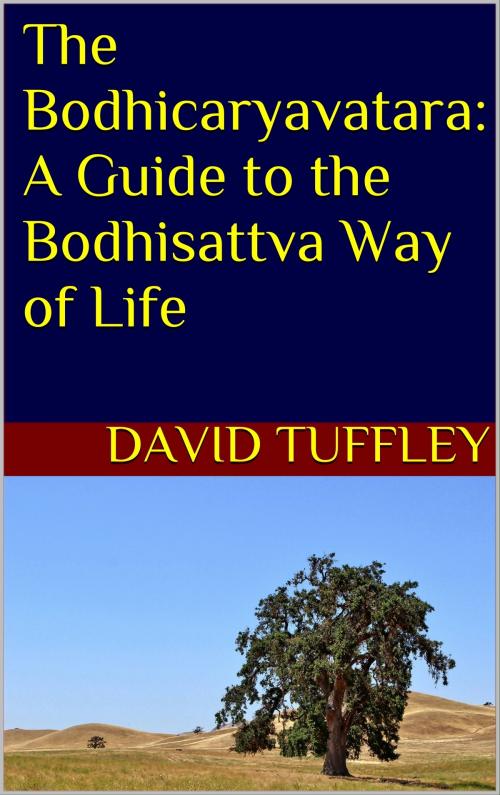 Cover of the book The Bodhicaryavatara: A Guide to the Bodhisattva Way of Life by David Tuffley, Altiora Publications