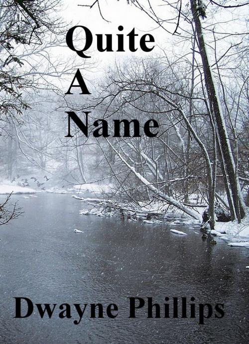 Cover of the book Quite a Name by Dwayne Phillips, Dwayne Phillips