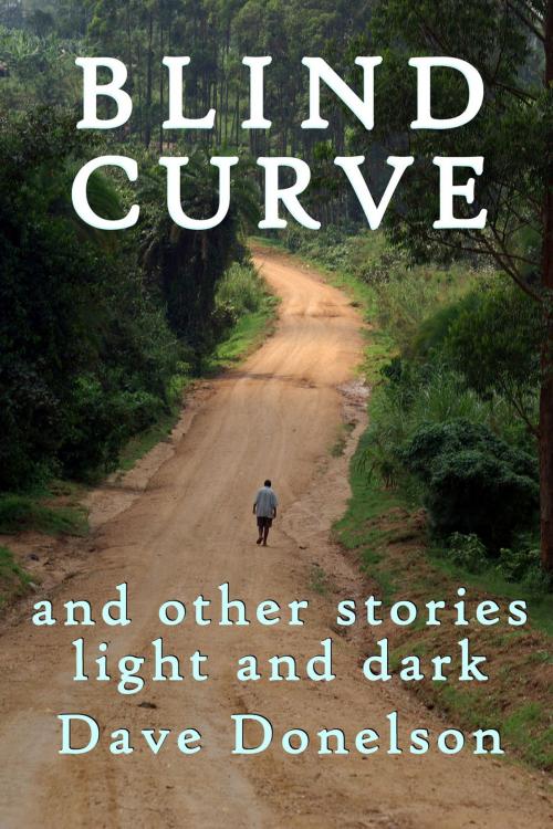 Cover of the book Blind Curve And Other Stories Light And Dark by Dave Donelson, Dave Donelson