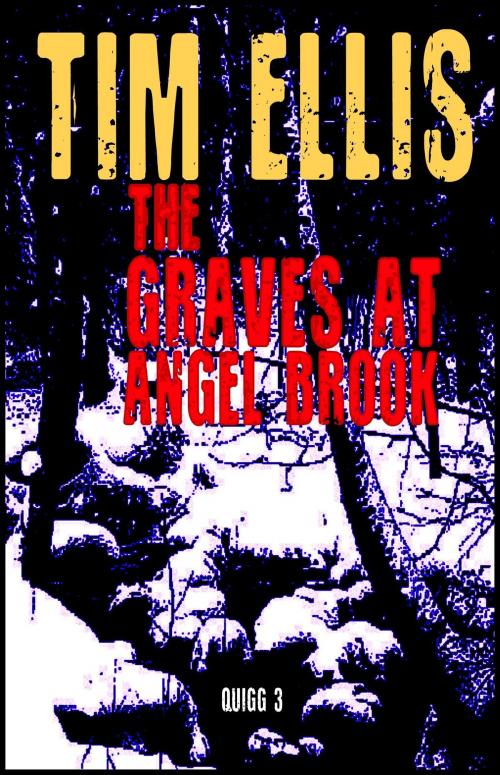Cover of the book The Graves at Angel Brook (Quigg 3) by Tim Ellis, Tim Ellis