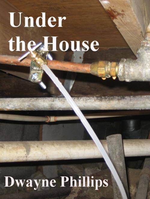 Cover of the book Under the House by Dwayne Phillips, Dwayne Phillips