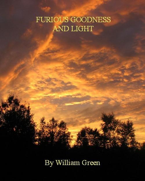 Cover of the book Furious Goodness and Light by William Green, William Green