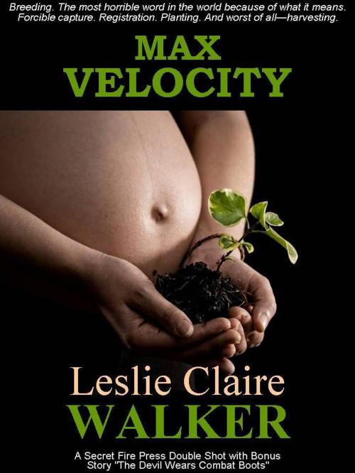 Cover of the book Max Velocity by Leslie Claire Walker, Secret Fire Press