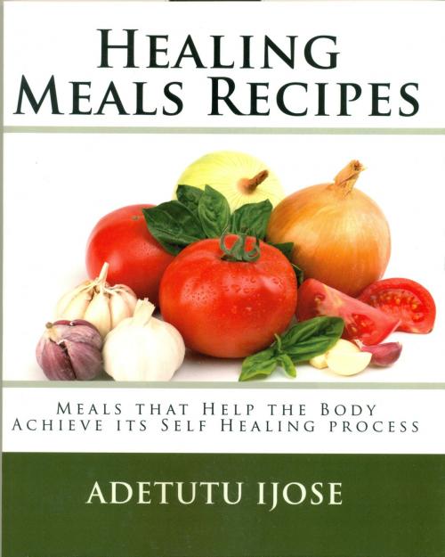 Cover of the book Healing Meals Recipes by Adetutu Ijose, Adetutu Ijose