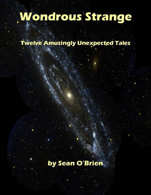 Cover of the book Wondrous Strange: 12 Amusingly Unexpected Tales by Sean O'Brien, Sean O'Brien