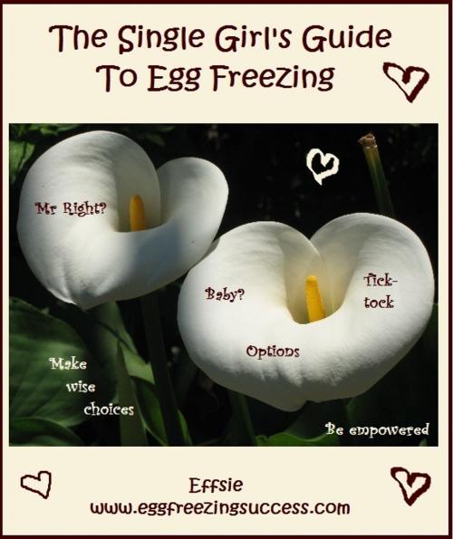 Cover of the book The Single Girl's Guide To Egg Freezing by EggFreezingSuccess Effsie, EggFreezingSuccess Effsie