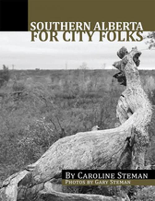 Cover of the book Southern Alberta for City Folks by Gary Steman, Caroline Steman, Xlibris US