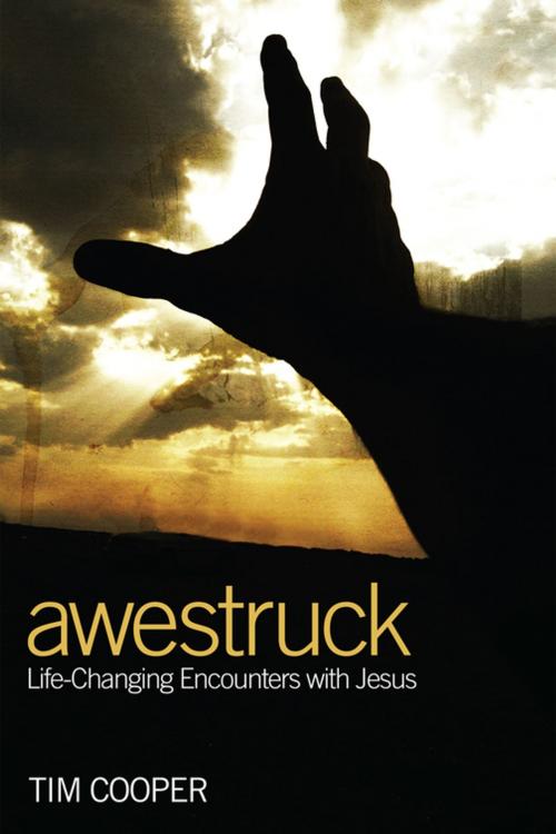 Cover of the book Awestruck by Tim Cooper, Wipf and Stock Publishers