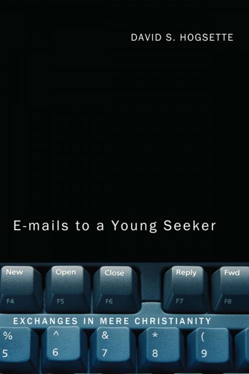 Cover of the book Emails to a Young Seeker by David S. Hogsette, Wipf and Stock Publishers