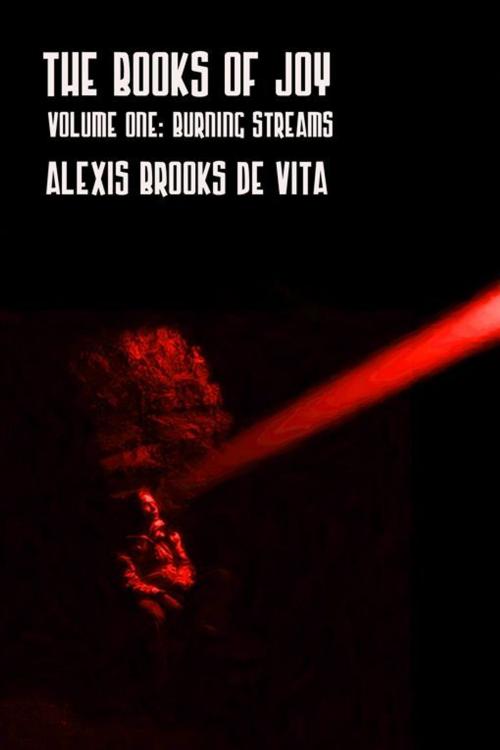 Cover of the book The Books Of Joy by Alexis Brooks de Vita, Double Dragon Publishing