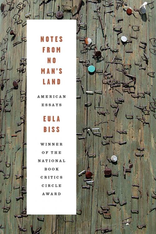 Cover of the book Notes from No Man's Land by Eula Biss, Graywolf Press