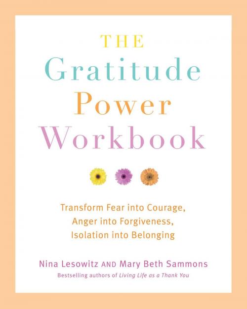 Cover of the book The Gratitude Power Workbook by Nina Lesowitz, Mary Beth Sammons, Viva Editions