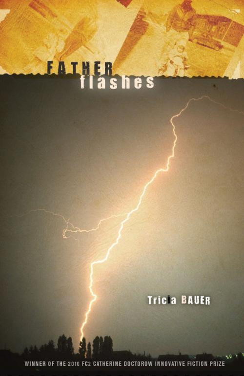 Cover of the book Father Flashes by Tricia Bauer, University of Alabama Press