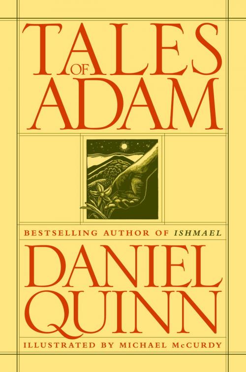 Cover of the book Tales of Adam by Daniel Quinn, Steerforth Press