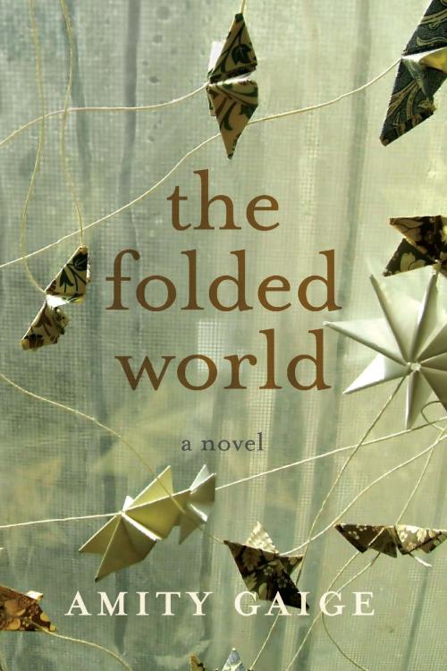 Cover of the book The Folded World by Amity Gaige, Other Press
