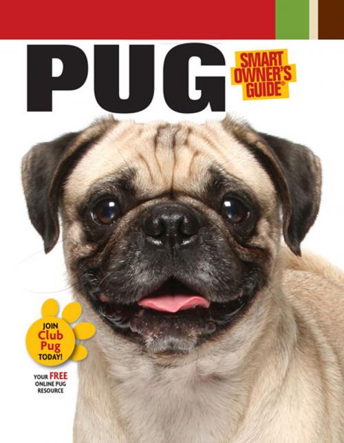 Cover of the book Pug by Dog Fancy Magazine, CompanionHouse Books