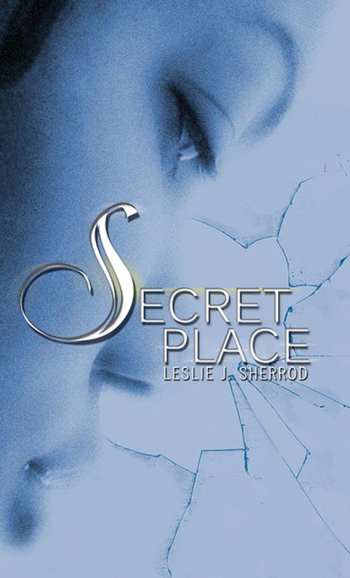 Cover of the book Secret Place by Leslie J. Sherrod, Urban Books