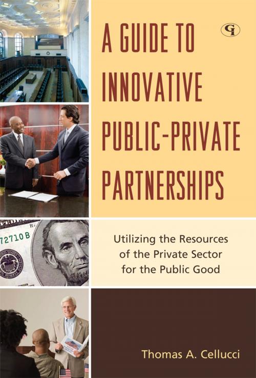 Cover of the book A Guide to Innovative Public-Private Partnerships by Thomas A. Cellucci, Government Institutes