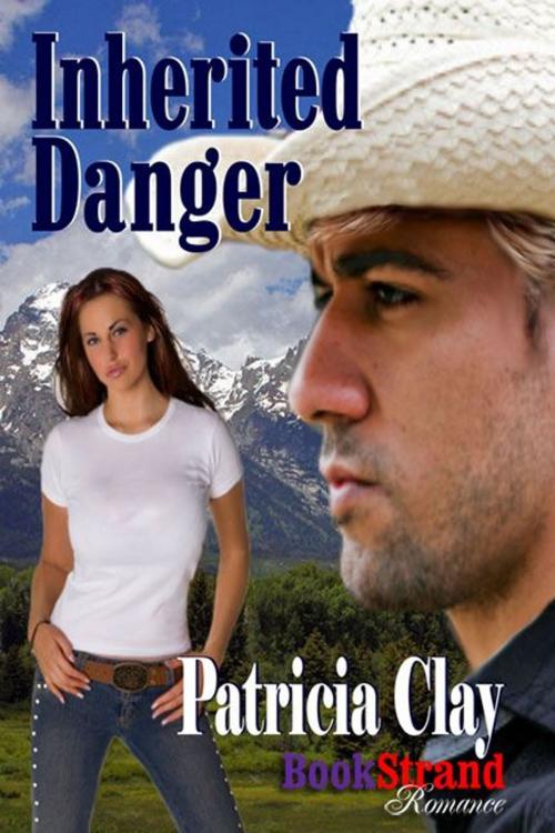 Cover of the book Inherited Danger by Patricia Clay, Siren-BookStrand