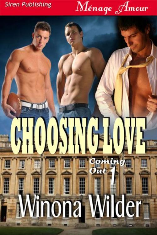 Cover of the book Choosing Love by Winona Wilder, Siren-BookStrand