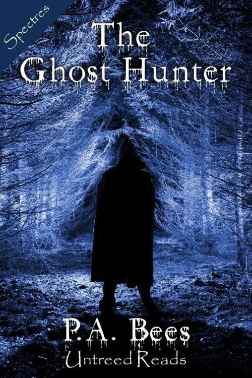 Cover of the book The Ghost Hunter by P.A. Bees, Untreed Reads
