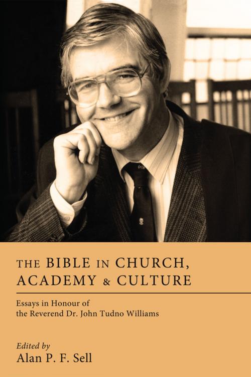 Cover of the book The Bible in Church, Academy, and Culture by , Wipf and Stock Publishers