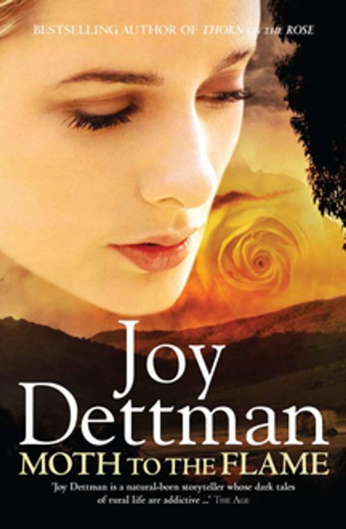 Cover of the book Moth to the Flame: A Woody Creek Novel 3 by Joy Dettman, Pan Macmillan Australia