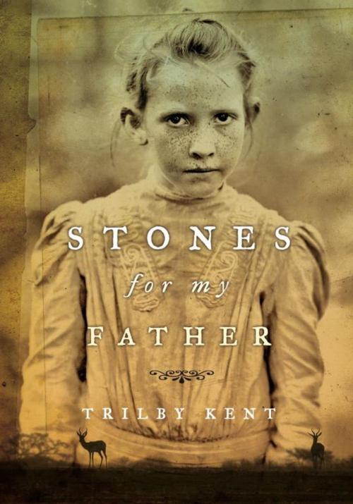 Cover of the book Stones for My Father by Trilby Kent, Tundra